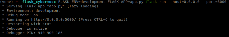 v1 flask run example